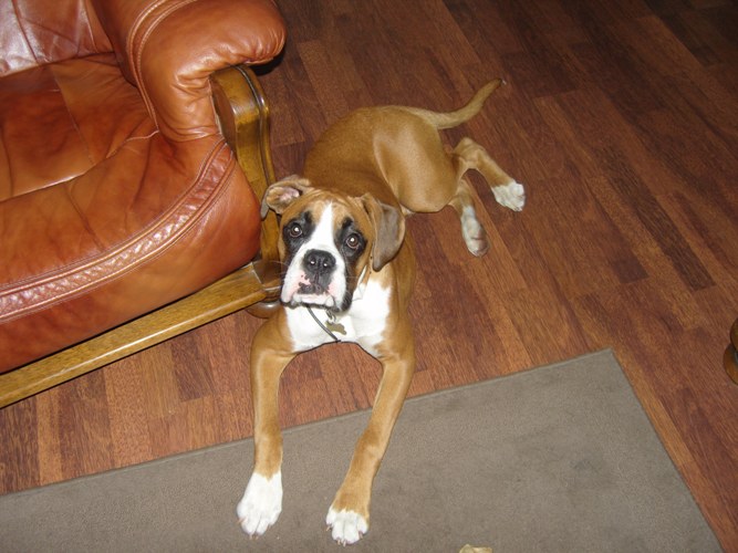 Bailey being really cute!